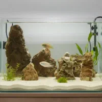 آکواریوم شیشه خم همراه با تجهیزات