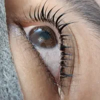 آموزش تخصصی|خدمات آموزشی|مشهد, کوثر|دیوار