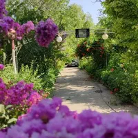 زمین با بنا و قابلیت ساخت و جواز (قابل تفکیک)|فروش زمین و ملک کلنگی|هشتگرد, ینگی امام|دیوار