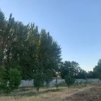 باغ بالاتر از خاوران نرسیده به باسمنج(قابل معاوضه)|فروش دفتر صنعتی، کشاورزی، تجاری|تبریز, |دیوار