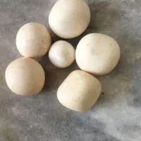 سنگ الماس