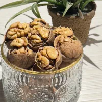 گردوی دماوند