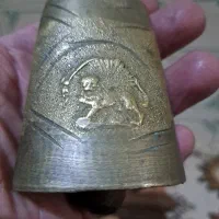 زگوله ضخیم حدود۷۰ سال
