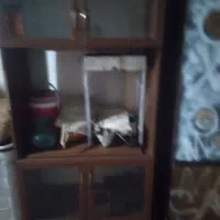 کمدتکی وزیرتلویزیون 700