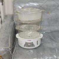 بخار پز سانی