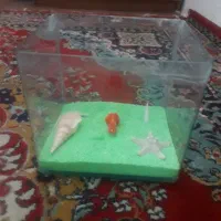 اکواریوم