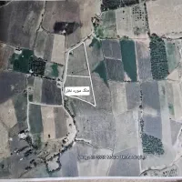 باغ صنوبر دشت شوی(چنار)