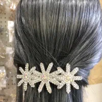 گیره فرانسوی مجلسی|زیورآلات و اکسسوری|نکا, |دیوار