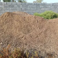 کود حیوانی بز و میش