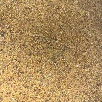 فروش بذر یونجه