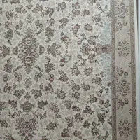 فرش کاشان در میاندوآب با کارت یارانه فرش بخرید|فرش|میاندوآب, |دیوار