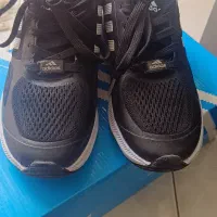 کفش اسپرت ورزشی آدی داس|کیف، کفش، کمربند|شیراز, دکتر حسابی|دیوار