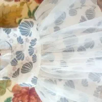 لباس عروس|لباس|بانه, |دیوار