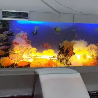 تابلو آکواریوم حرکتی