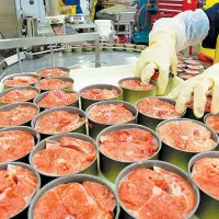 استخدام نیروی کارگر ساده برای تولید تن ماهی|استخدام صنعتی، فنی، مهندسی|تهران, فرمانیه|دیوار