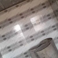 سالمی