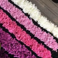 فرشینه یا پادری با فرش