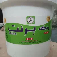 رنگ پلاستیکی