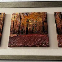 تمیز|تابلو، نقاشی، عکس|تهران, شهرک چیتگر|دیوار