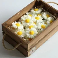 گل شمع وربان|صنایع دستی و سایر لوازم تزئینی|شیراز, تحویلی|دیوار