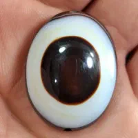 خاص|کلکسیون و سرگرمی|بجنورد, |دیوار