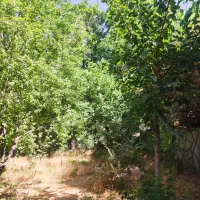 باغ فروشی در قاهان|فروش زمین و ملک کلنگی|قاهان, |دیوار