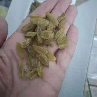 کشمش سبز باغات.|خوردنی و آشامیدنی|قوچان, |دیوار