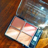 رژگونه پودری چهارتایی