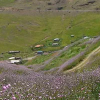 تور یک روزه فرداجمعه 14 آذر|تور و چارتر|رشت, لاکان شهر|دیوار