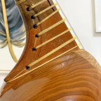 تار حرفه ای مهر کیوان بامید حق|سازهای سنتی|رشت, گلسار|دیوار