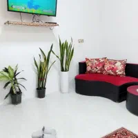 رزرو سوئیت برای مسافرین مرکز شهر|اجارهٔ کوتاه‌مدت آپارتمان و سوئیت|دزفول, |دیوار