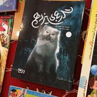 فروش تعدادی کتاب برای کودکان و نوجوانان|کتاب و مجله ادبی|تهران, مرزداران|دیوار