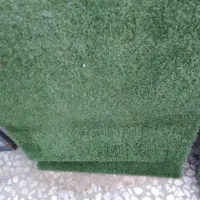 چمن