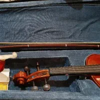 فروش ویالن نو