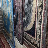 فرش ها۶متری و۹متری مشهدفرش|فرش|گنبد کاووس, |دیوار