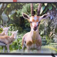 تلویزیون هوشمند ۵۵ اینچ هایسنس 4K|تلویزیون و پروژکتور|قم, کیوانفر|دیوار