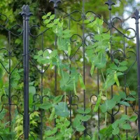 تالار بزرگ پذیرایی|خدمات پذیرایی، مراسم|زاهدان, |دیوار