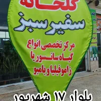 تعویض گل و گیاه با پسماند بازیافتی