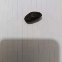 فروشی قیمت توافقی|کلکسیون اشیاء عتیقه|نی‌ریز, |دیوار