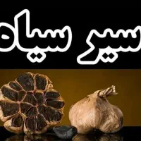 سیرسیاه