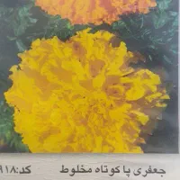 گلخانه|خدمات باغبانی و درختکاری|مسجد سلیمان, |دیوار