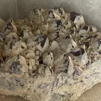 سنگ|جواهرات|تربتحیدریه, باغ ملی|دیوار