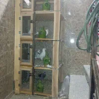 قفس، جفت کن چهار طبقه با وسایل