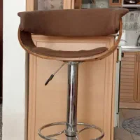 صندلی جلو اپنی