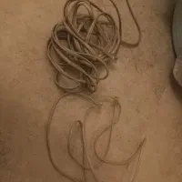 فروش تعدادی سیم رابط|قطعات و لوازم جانبی رایانه|تهران, فدک|دیوار