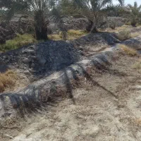 فروش زمین کشاورزی 4000متر|فروش دفتر صنعتی، کشاورزی، تجاری|ایرانشهر, |دیوار