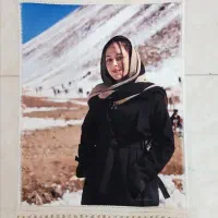 تابلو فرش      شاپرک|تابلو فرش|پرند, فاز ۱|دیوار