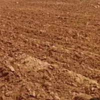 ۴ کیسه زمین دیم کلکان کانی سفید