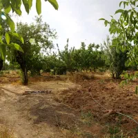 تجربه ای ناب ازطبیعت وسرمایه گذاری مطمئن|فروش زمین و ملک کلنگی|الیگودرز, |دیوار
