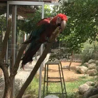 خدمات کشوری باغ اهو (بازنشستگان تامین)|خدمات پذیرایی، مراسم|مهریز, |دیوار